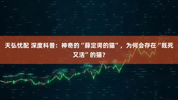 天弘忧配 深度科普：神奇的“薛定谔的猫”，为何会存在“既死又活”的猫？