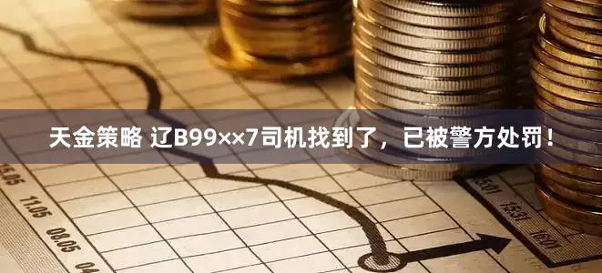 天金策略 辽B99××7司机找到了，已被警方处罚！
