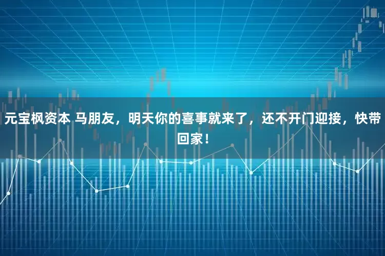 元宝枫资本 马朋友，明天你的喜事就来了，还不开门迎接，快带回家！