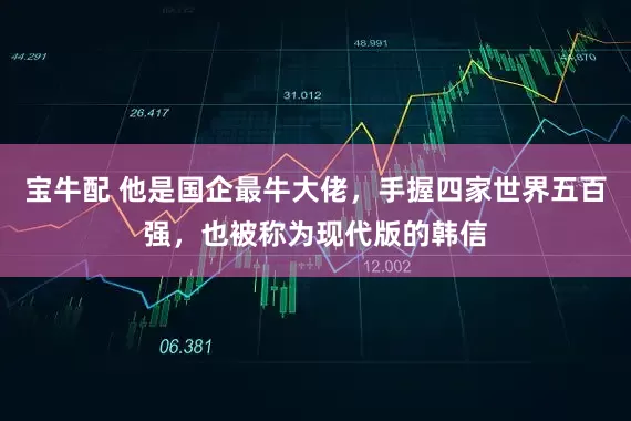 宝牛配 他是国企最牛大佬，手握四家世界五百强，也被称为现代版的韩信